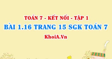 Bài 1.16 trang 15 SGK Toán 7 tập 1 Kết nối tri thức